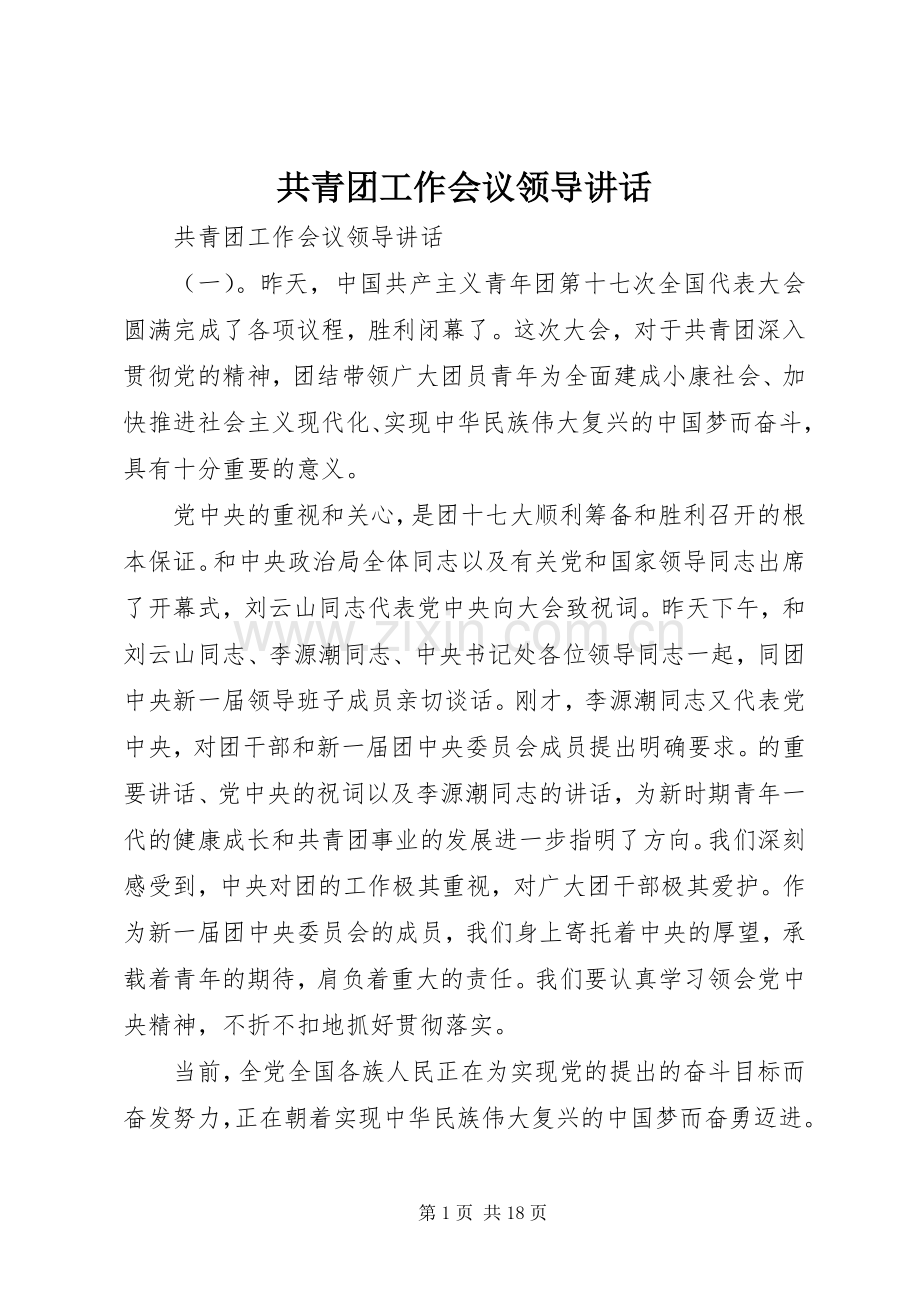 共青团工作会议领导讲话发言.docx_第1页
