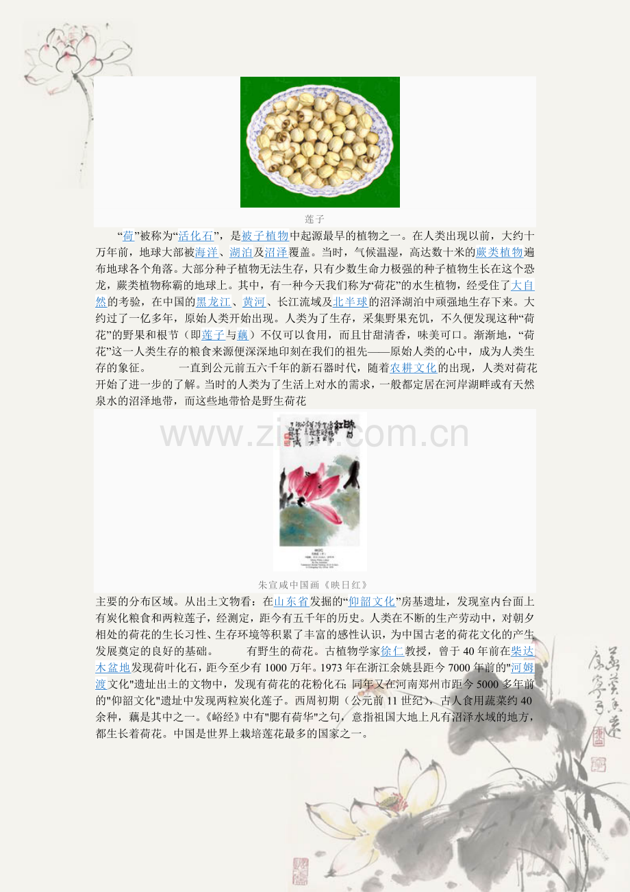出淤泥而不染.doc_第2页