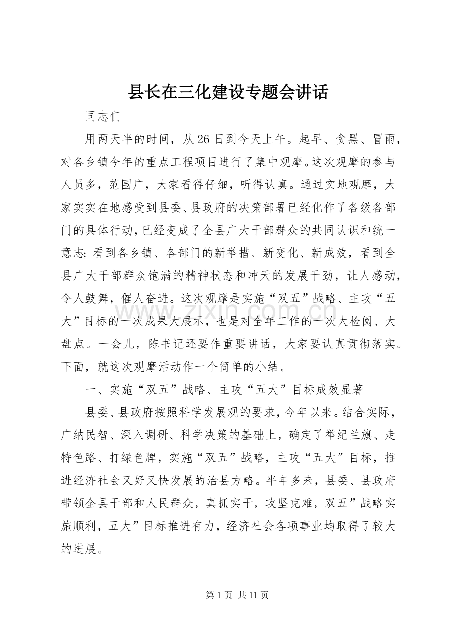 县长在三化建设专题会讲话发言.docx_第1页