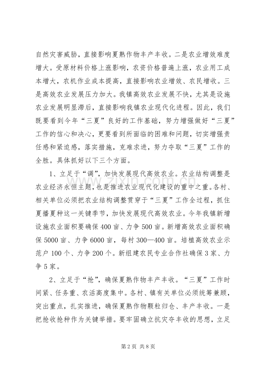在全镇三夏暨防汛工作会议上的讲话发言_1.docx_第2页