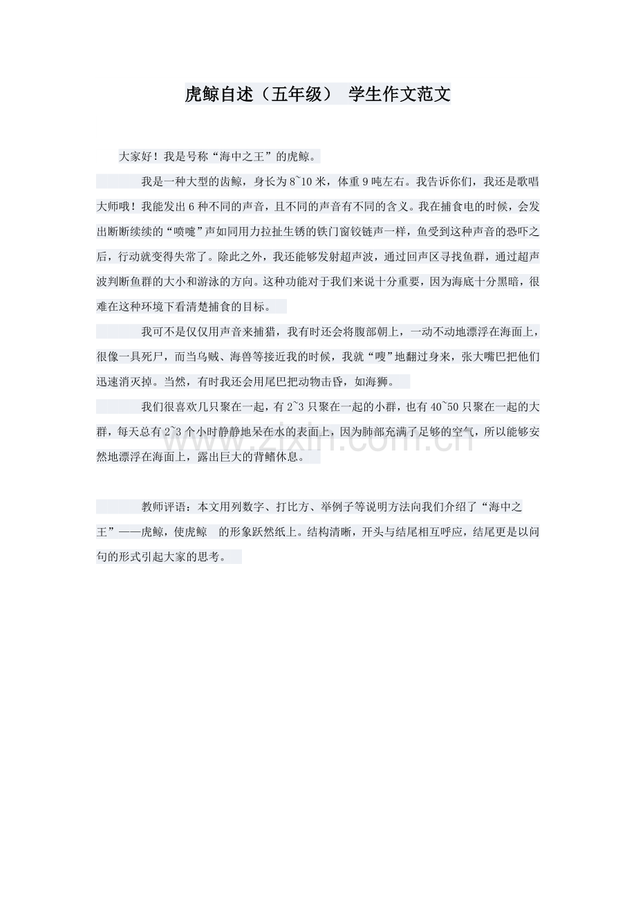 虎鲸自述（五年级）学生作文范文.doc_第1页