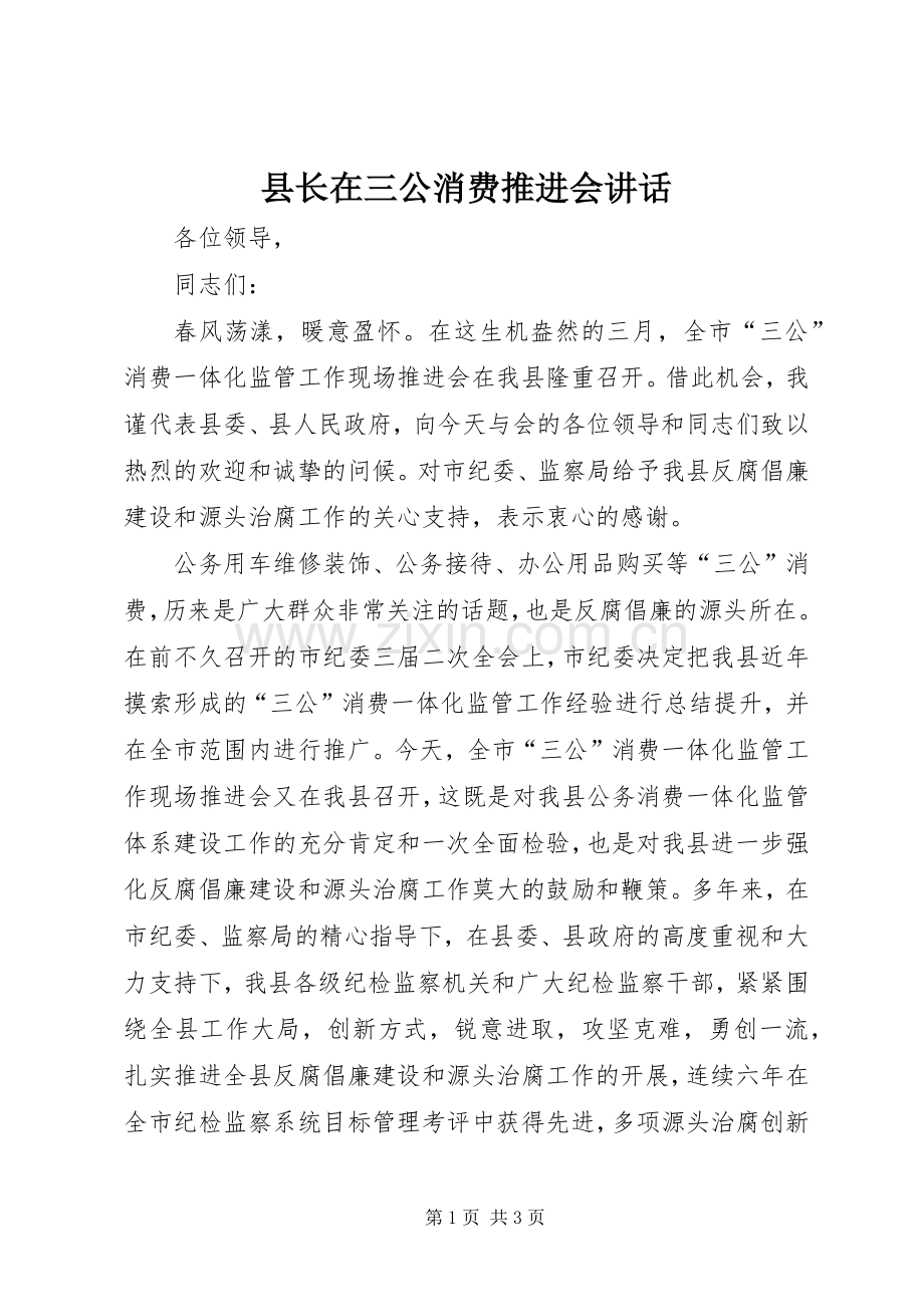 县长在三公消费推进会讲话发言.docx_第1页