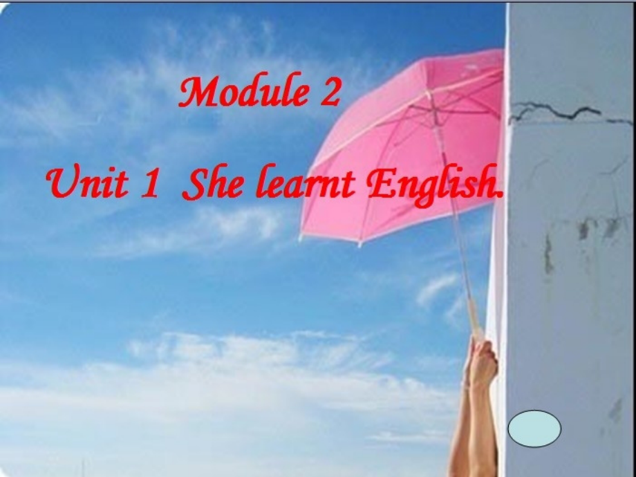 she-learnt-english..ppt_第1页