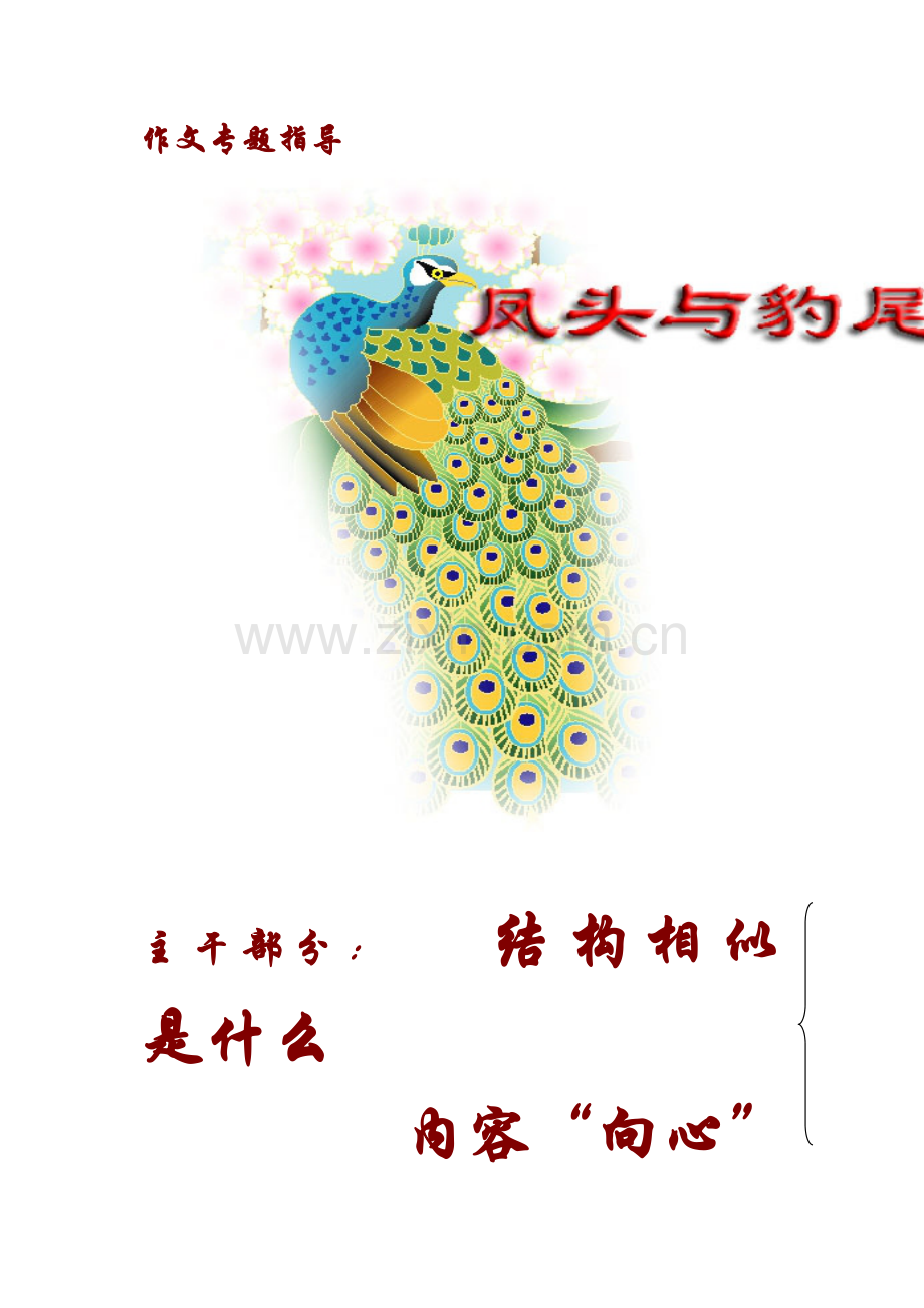 作文专题指导(议论文开头投影).doc_第1页