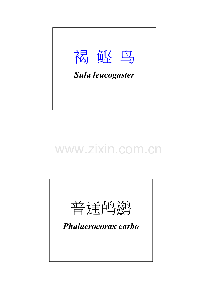 鸟类,兽类标签1.doc_第1页