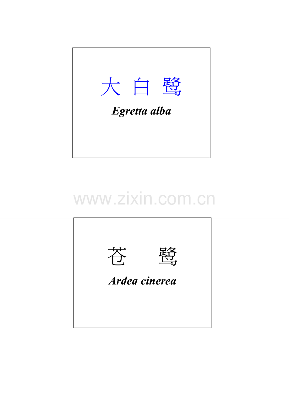 鸟类,兽类标签1.doc_第2页