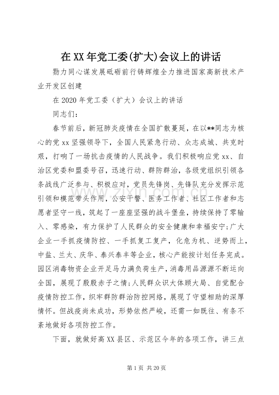 在XX年党工委(扩大)会议上的讲话发言.docx_第1页