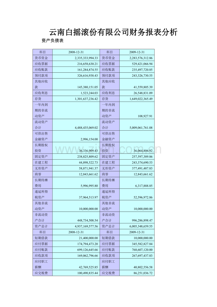 云南白摇滚份有限公司财务报表分析.doc_第1页