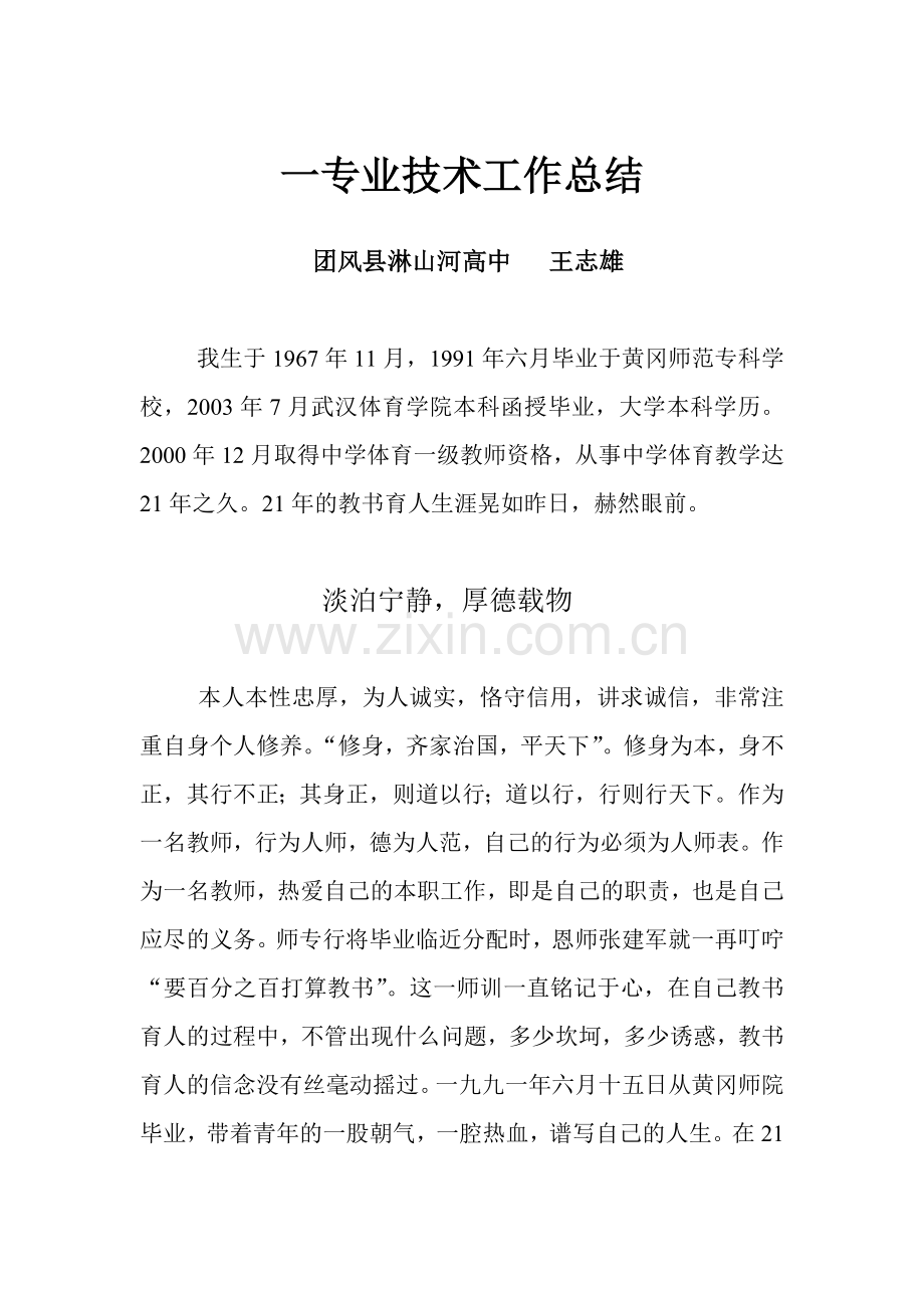 专业技术总结.doc_第1页
