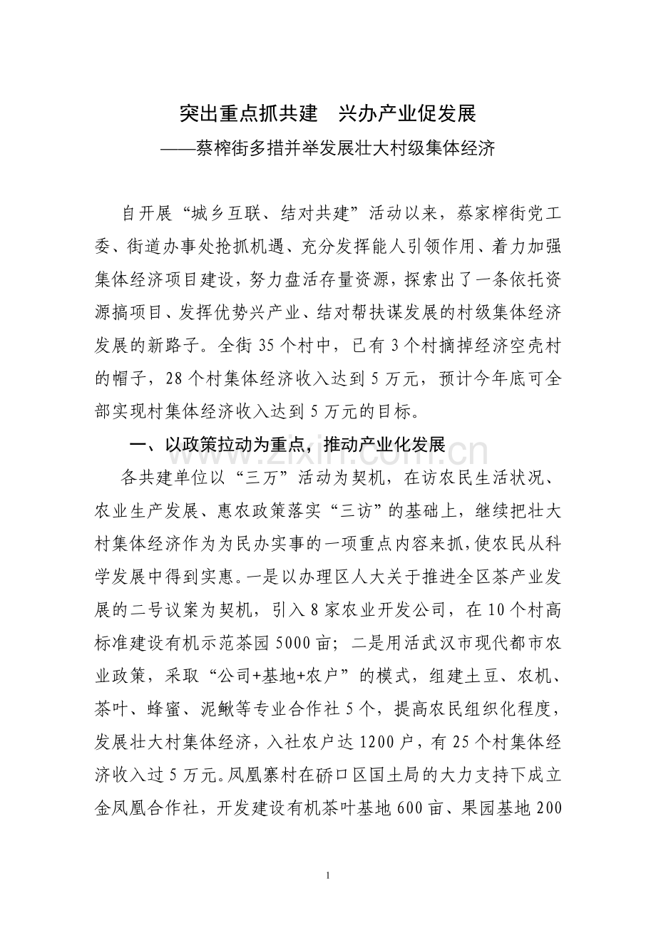 (蔡家榨街)突出重点抓共建兴办产业促发展.doc_第1页