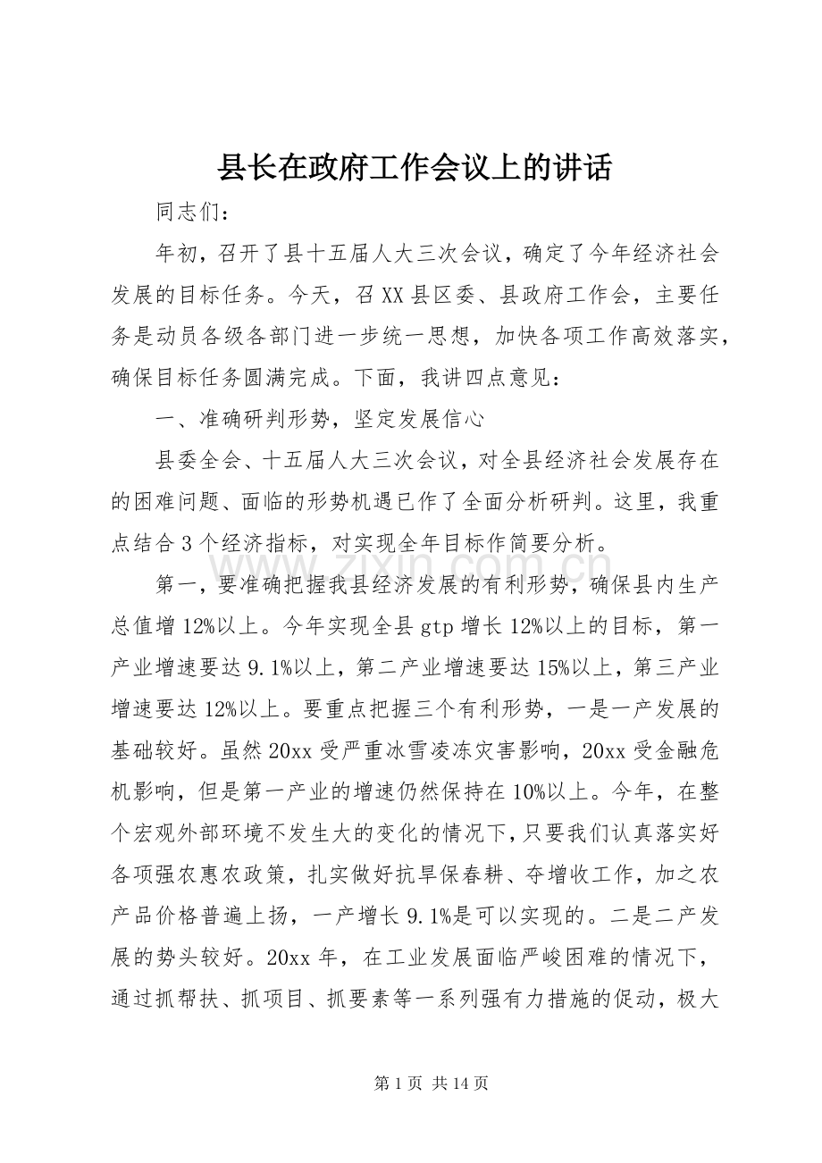 县长在政府工作会议上的讲话发言.docx_第1页