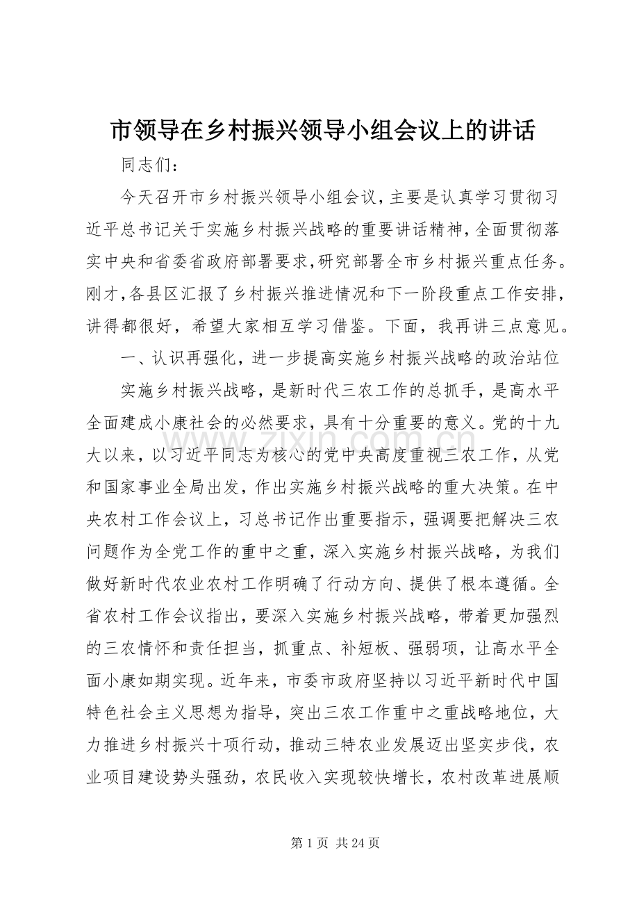 市领导在乡村振兴领导小组会议上的讲话发言.docx_第1页