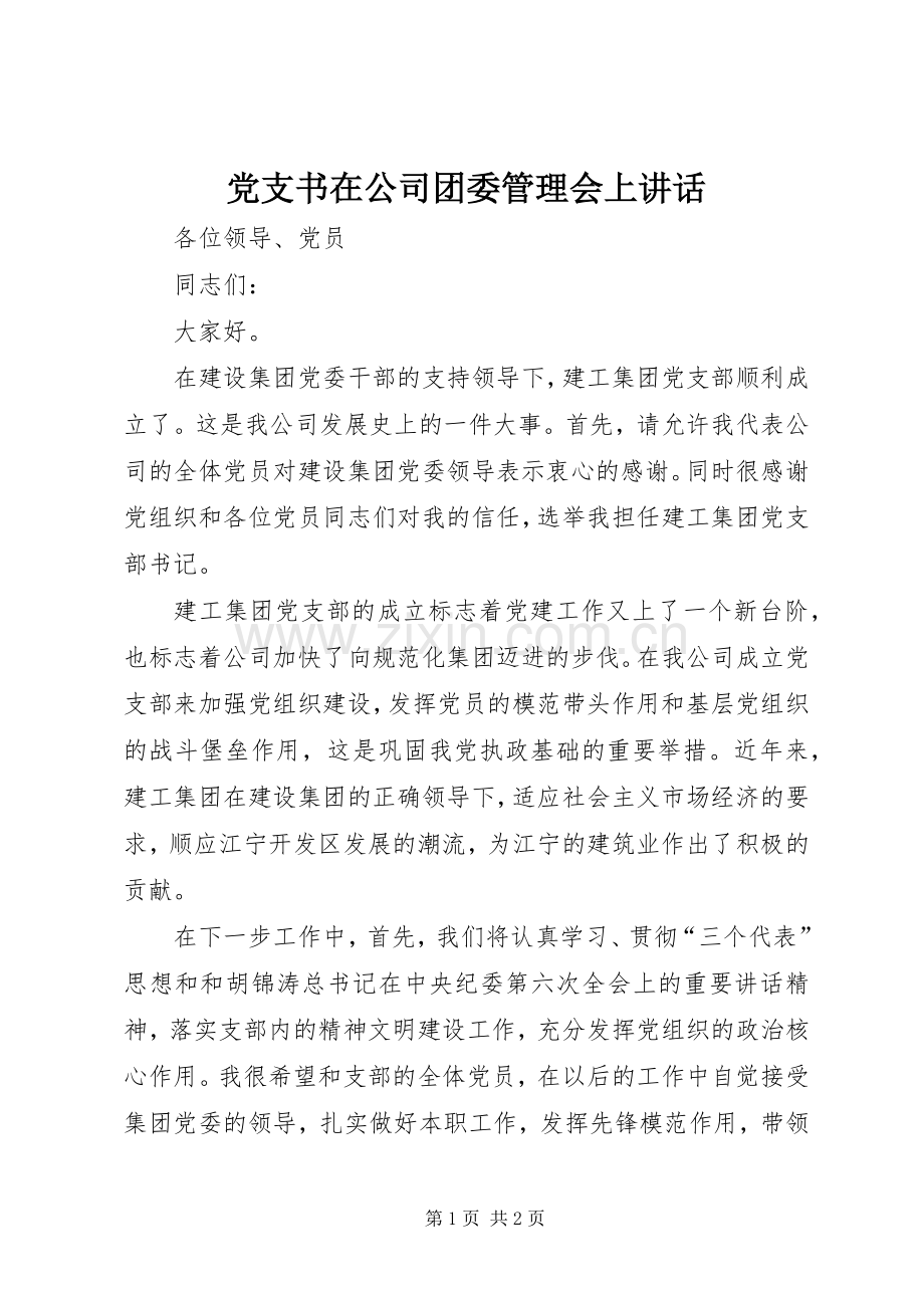 党支书在公司团委管理会上讲话发言.docx_第1页