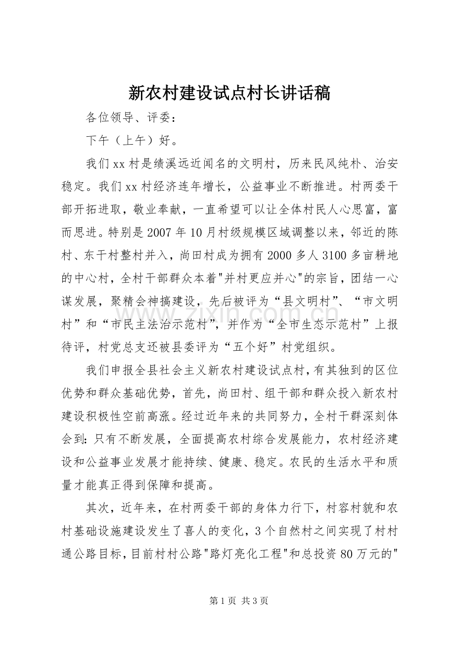 新农村建设试点村长讲话发言稿.docx_第1页