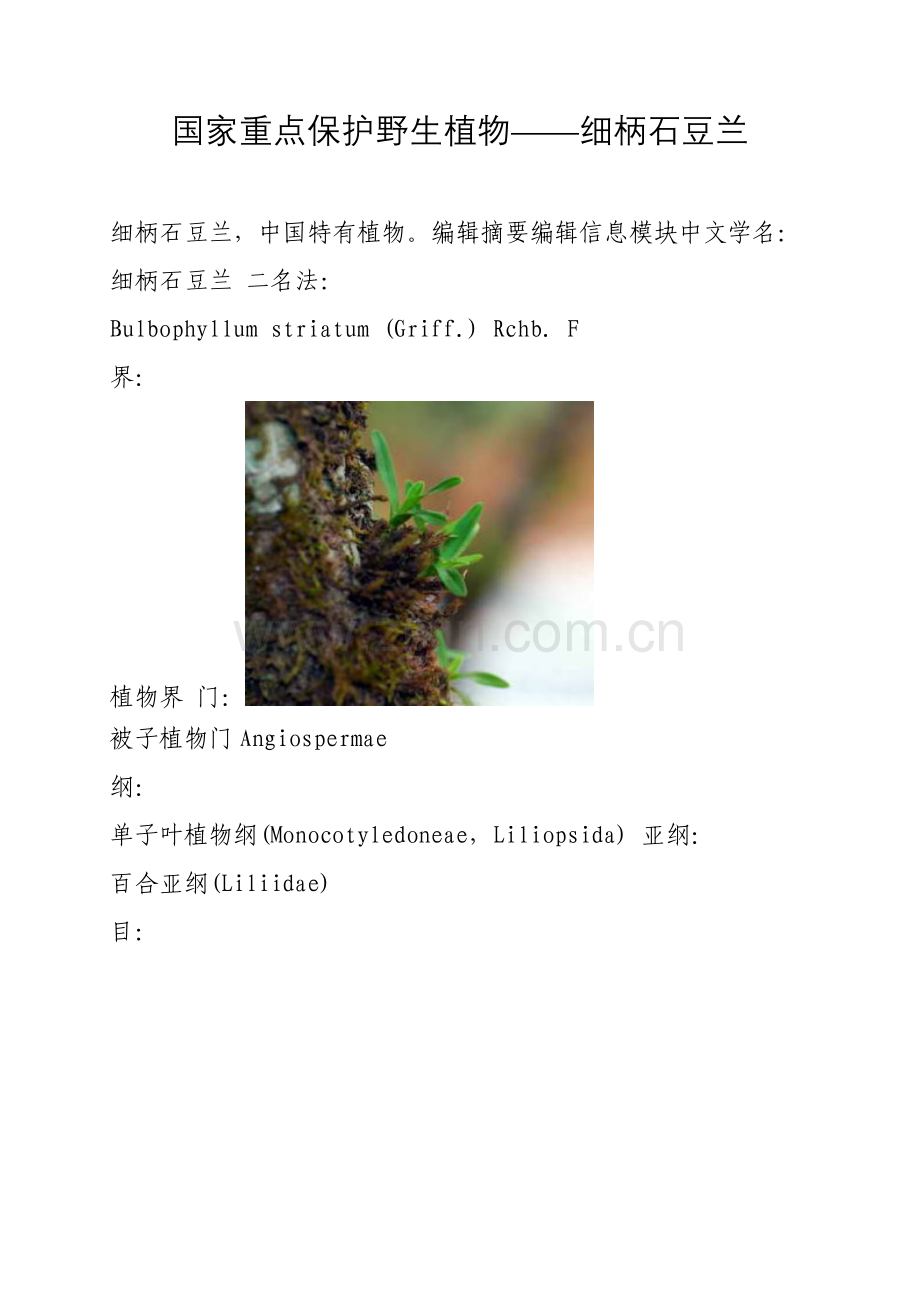 国家重点保护野生植物——细柄石豆兰.doc_第1页