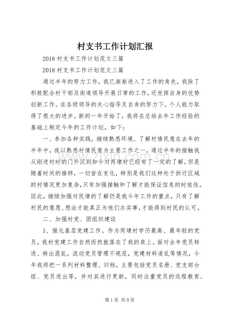 村支书工作计划汇报.docx_第1页