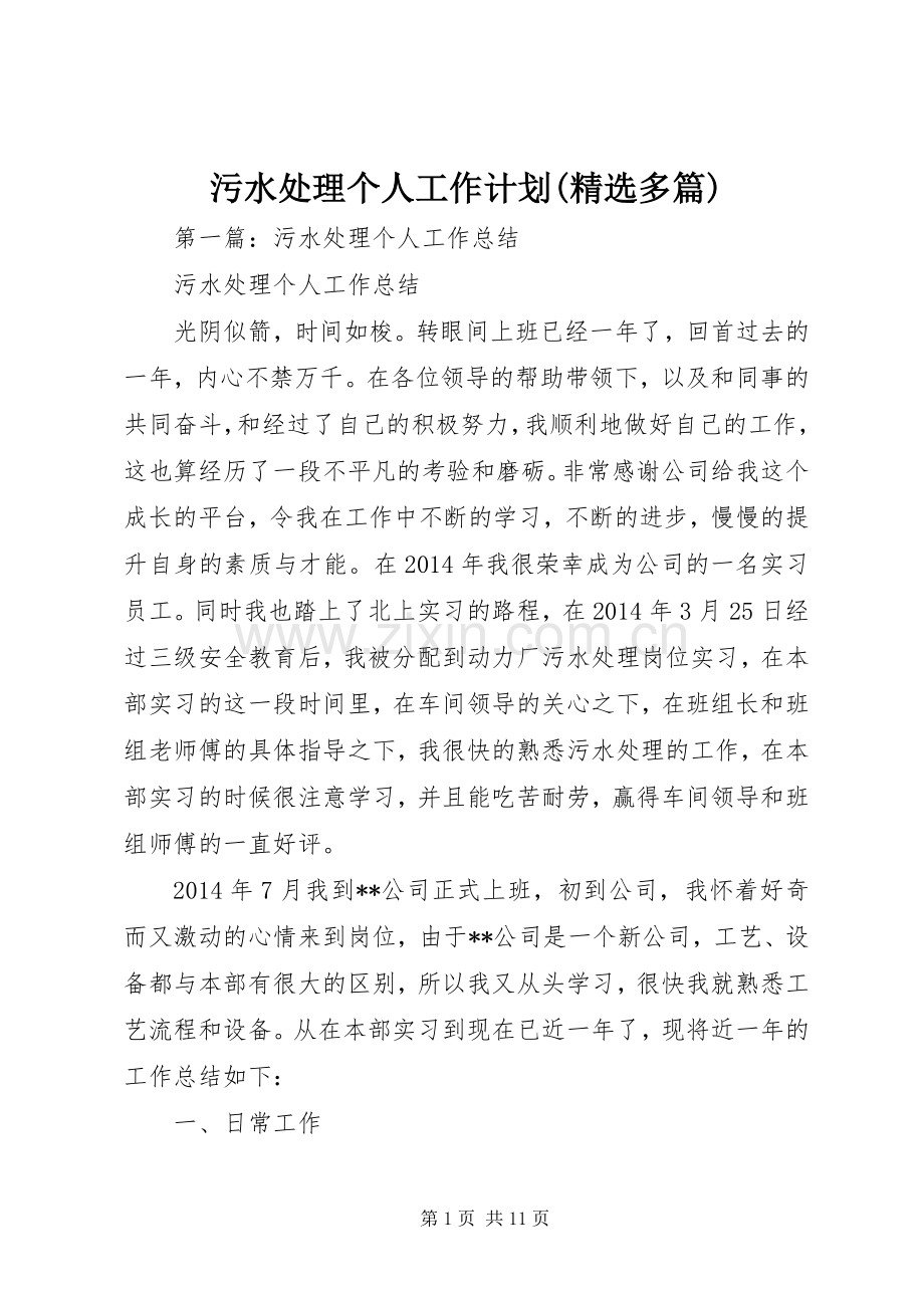 污水处理个人工作计划(多篇).docx_第1页