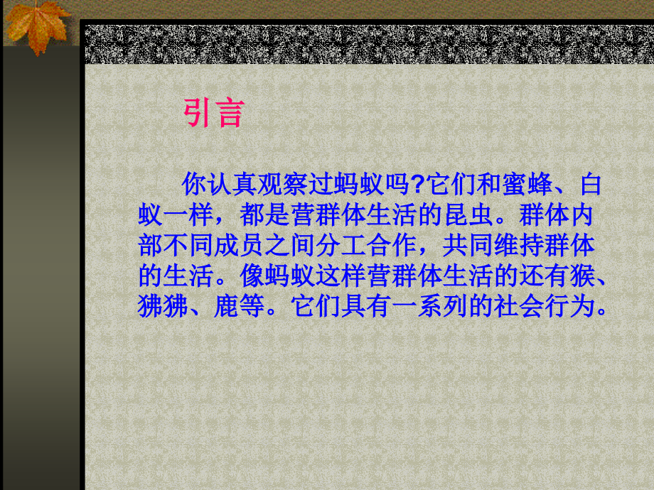 人教-生物-八年级-上册-课件-第5单元第2章-第三节　社会行为1.ppt_第2页