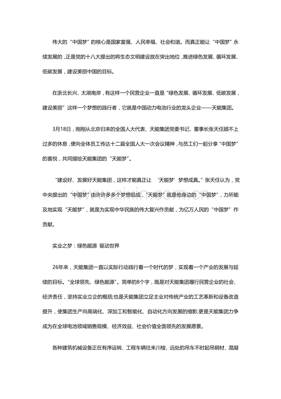天能集团的追梦之路：谁持彩练当空舞.doc_第2页