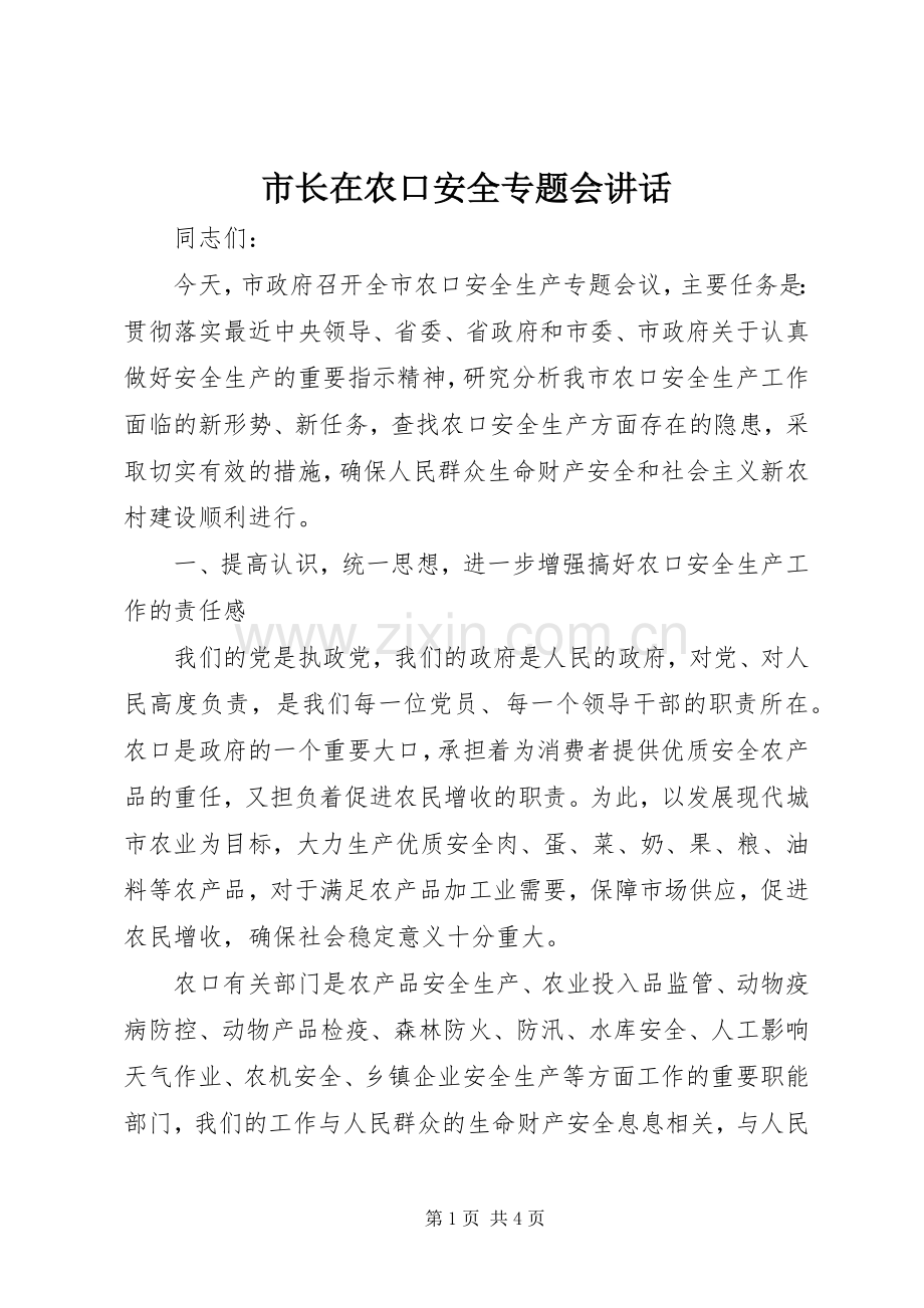 市长在农口安全专题会讲话发言.docx_第1页