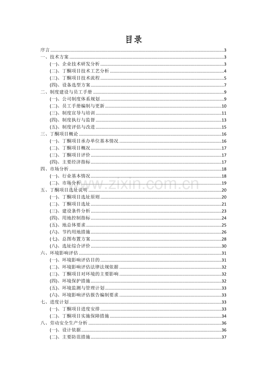 丁酮项目投资分析及可行性报告.docx_第2页