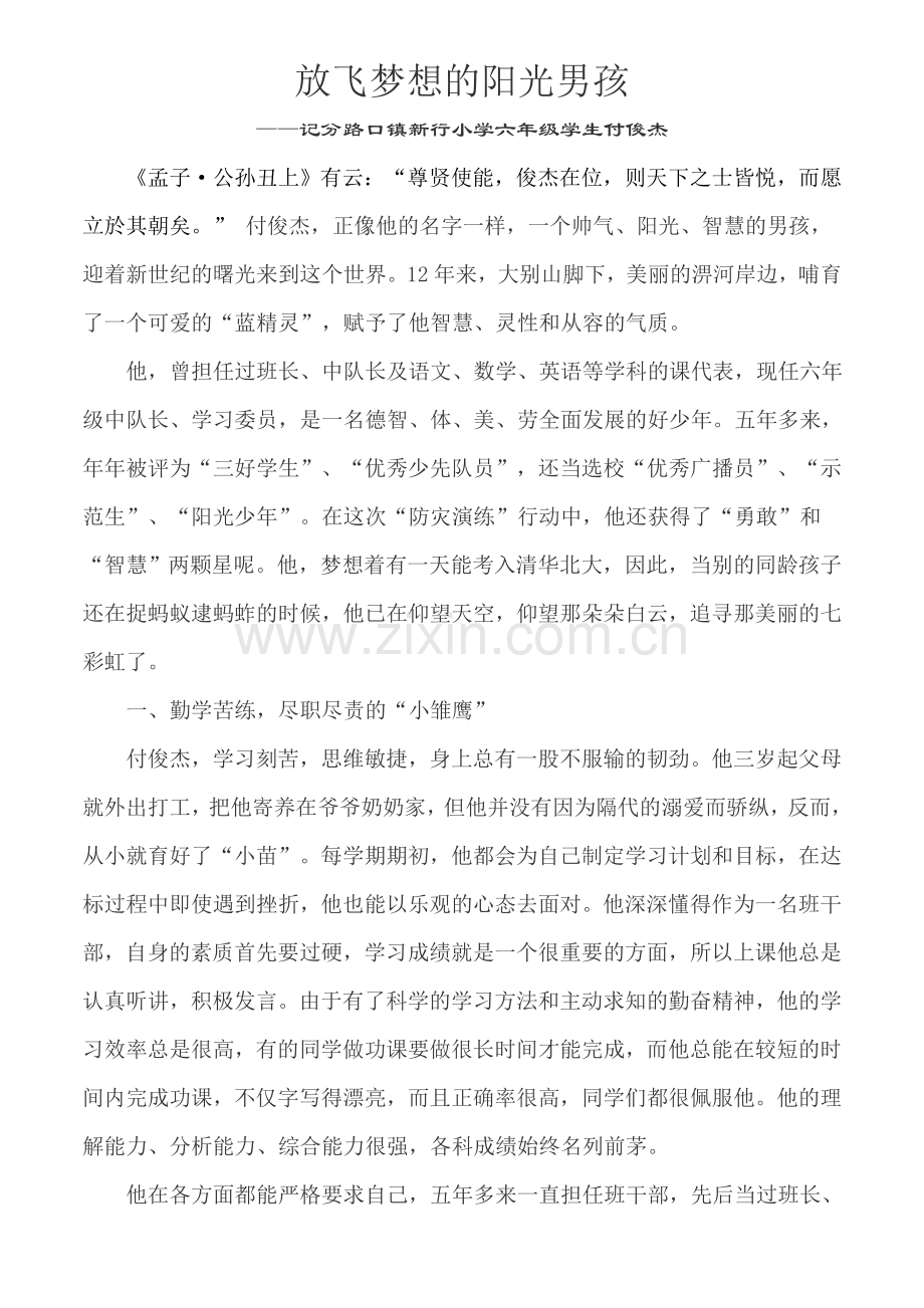 放飞梦想的阳光男孩.doc_第1页