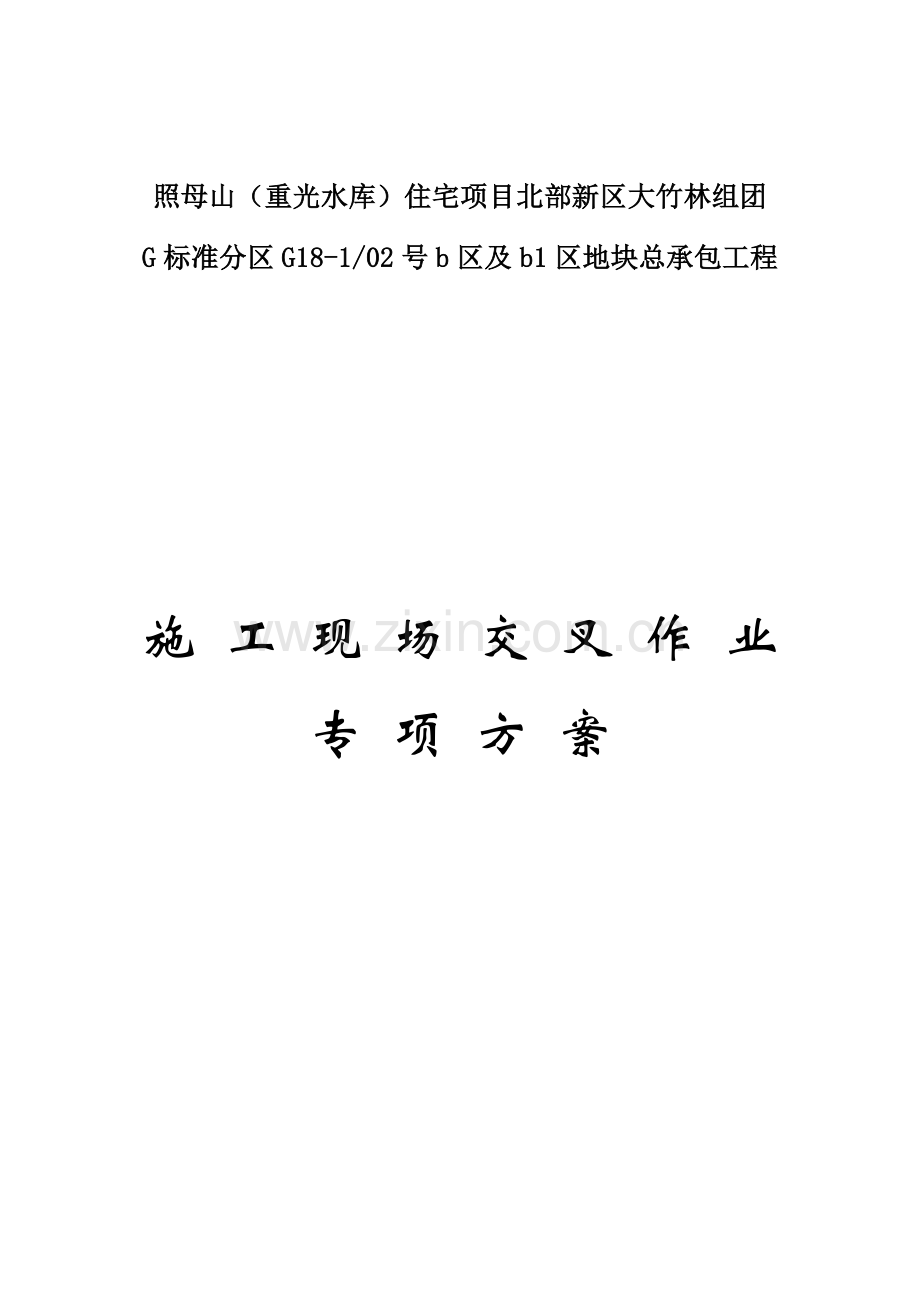 交叉作业专项方案.doc_第1页