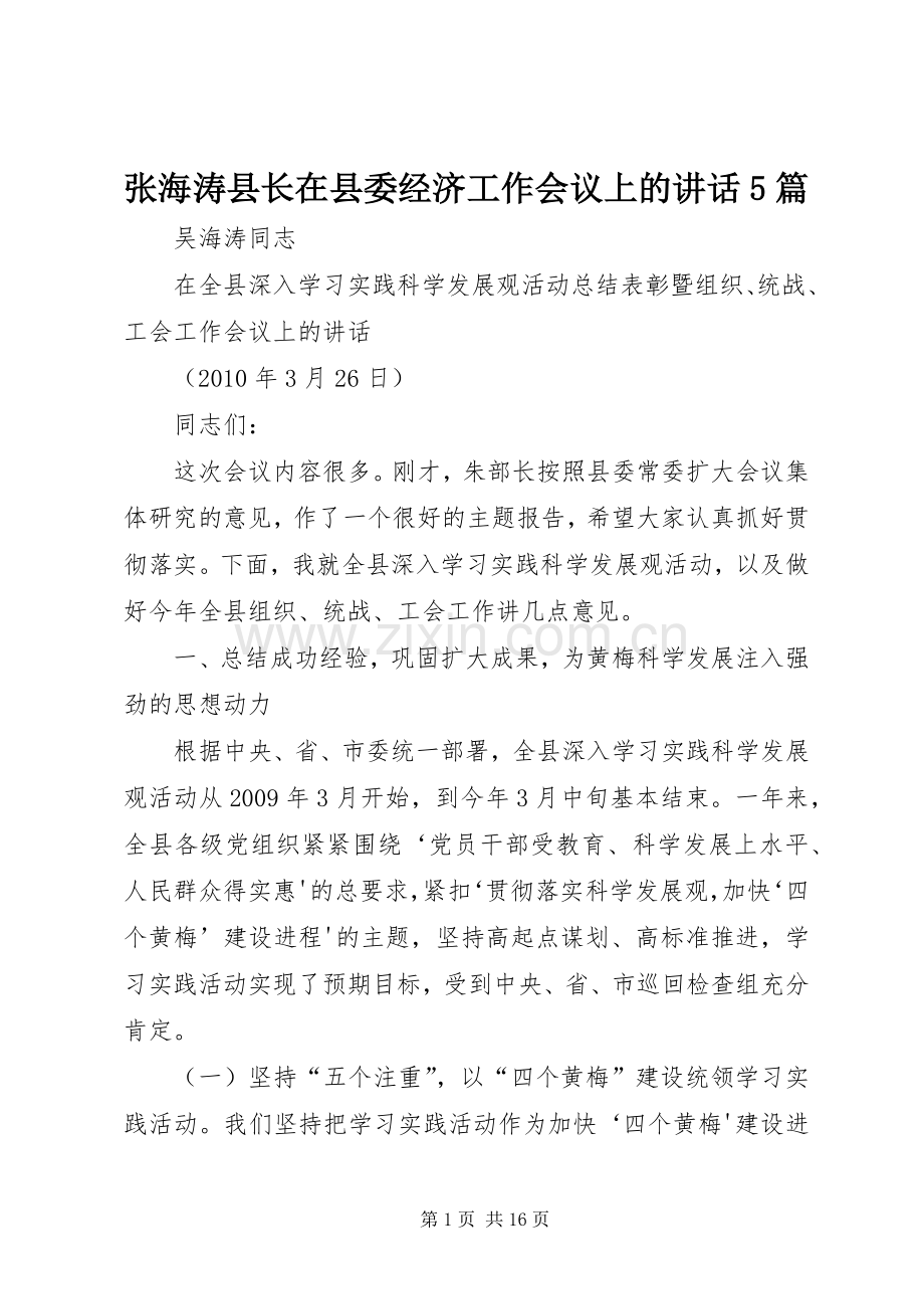 张海涛县长在县委经济工作会议上的讲话发言5篇.docx_第1页