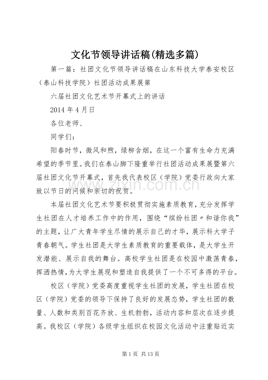 文化节领导讲话发言稿(多篇).docx_第1页