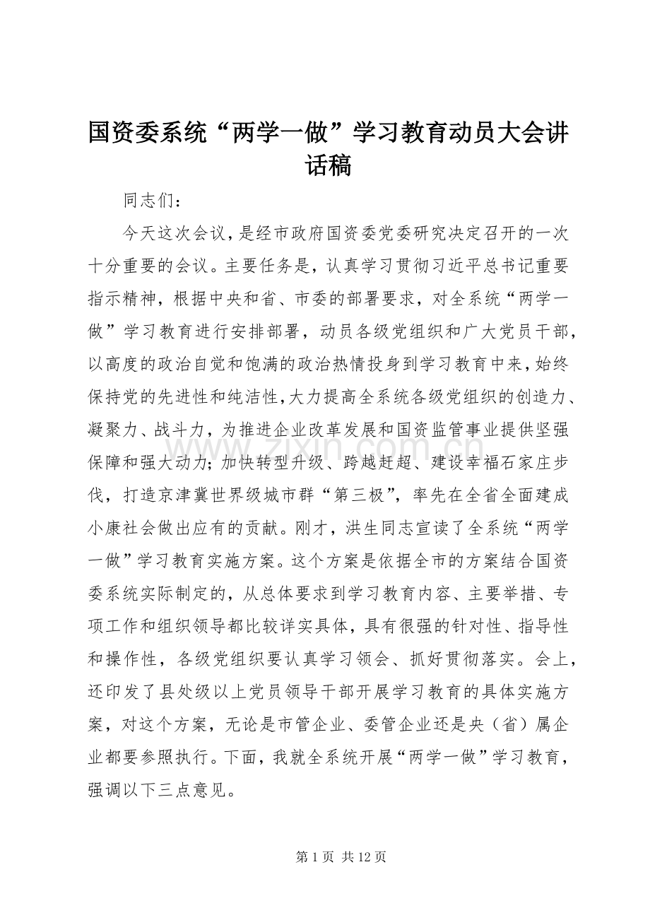 国资委系统“两学一做”学习教育动员大会讲话发言稿.docx_第1页