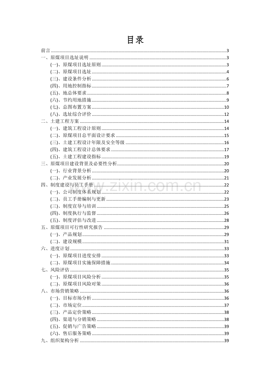 原煤项目可行性研究报告.docx_第2页
