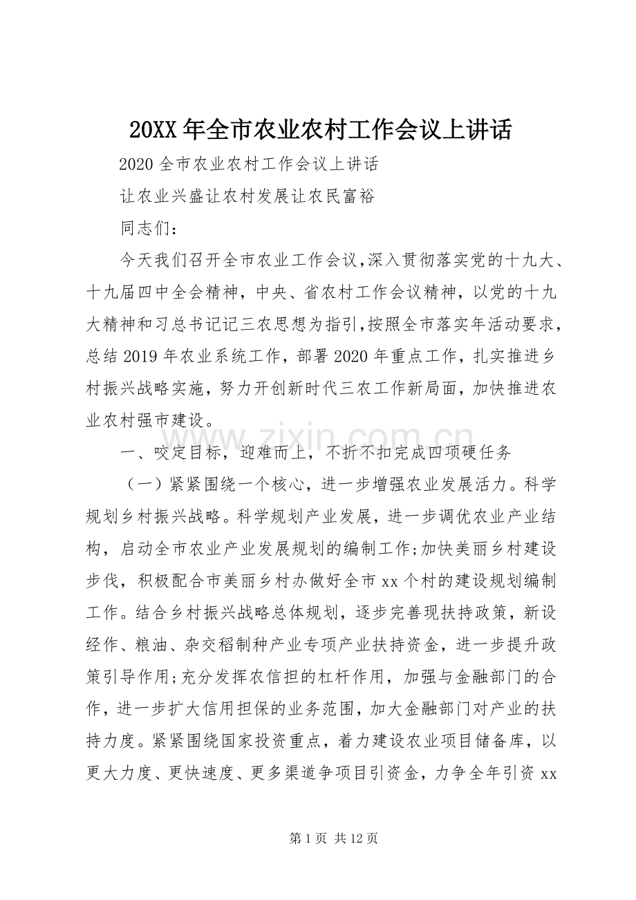 20XX年全市农业农村工作会议上讲话发言.docx_第1页