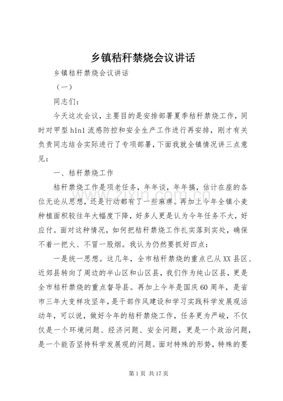 乡镇秸秆禁烧会议讲话发言.docx_第1页