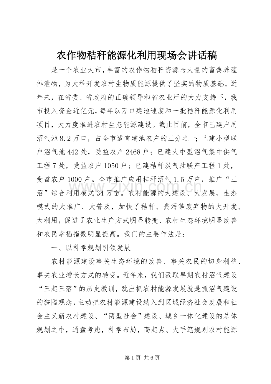 农作物秸秆能源化利用现场会讲话发言稿.docx_第1页
