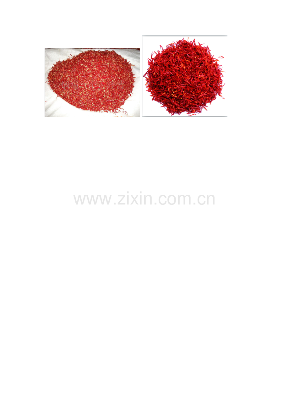 辣椒切丝机.doc_第2页
