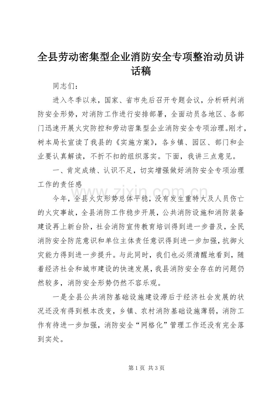 全县劳动密集型企业消防安全专项整治动员讲话发言稿.docx_第1页
