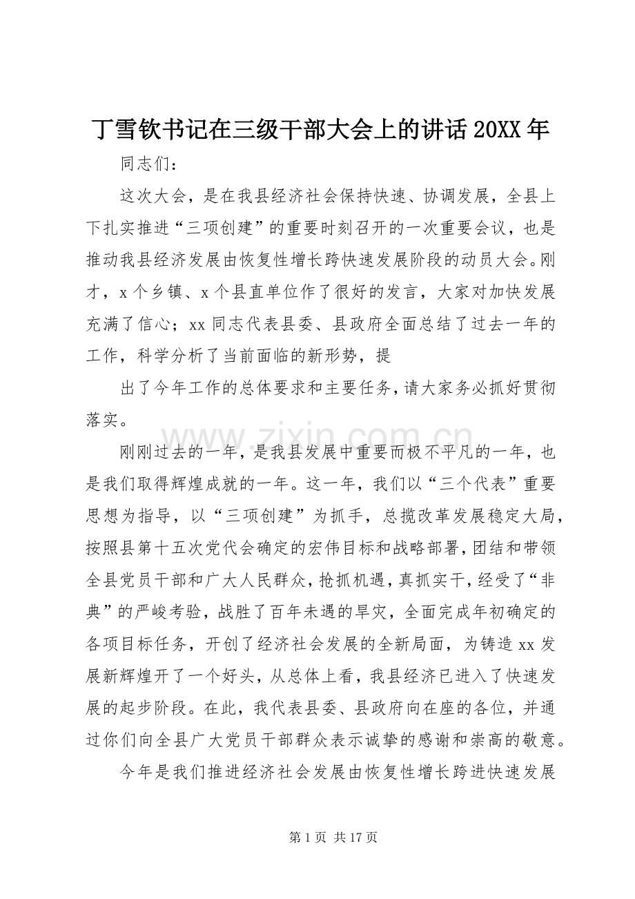丁雪钦书记在三级干部大会上的讲话发言20XX年.docx_第1页