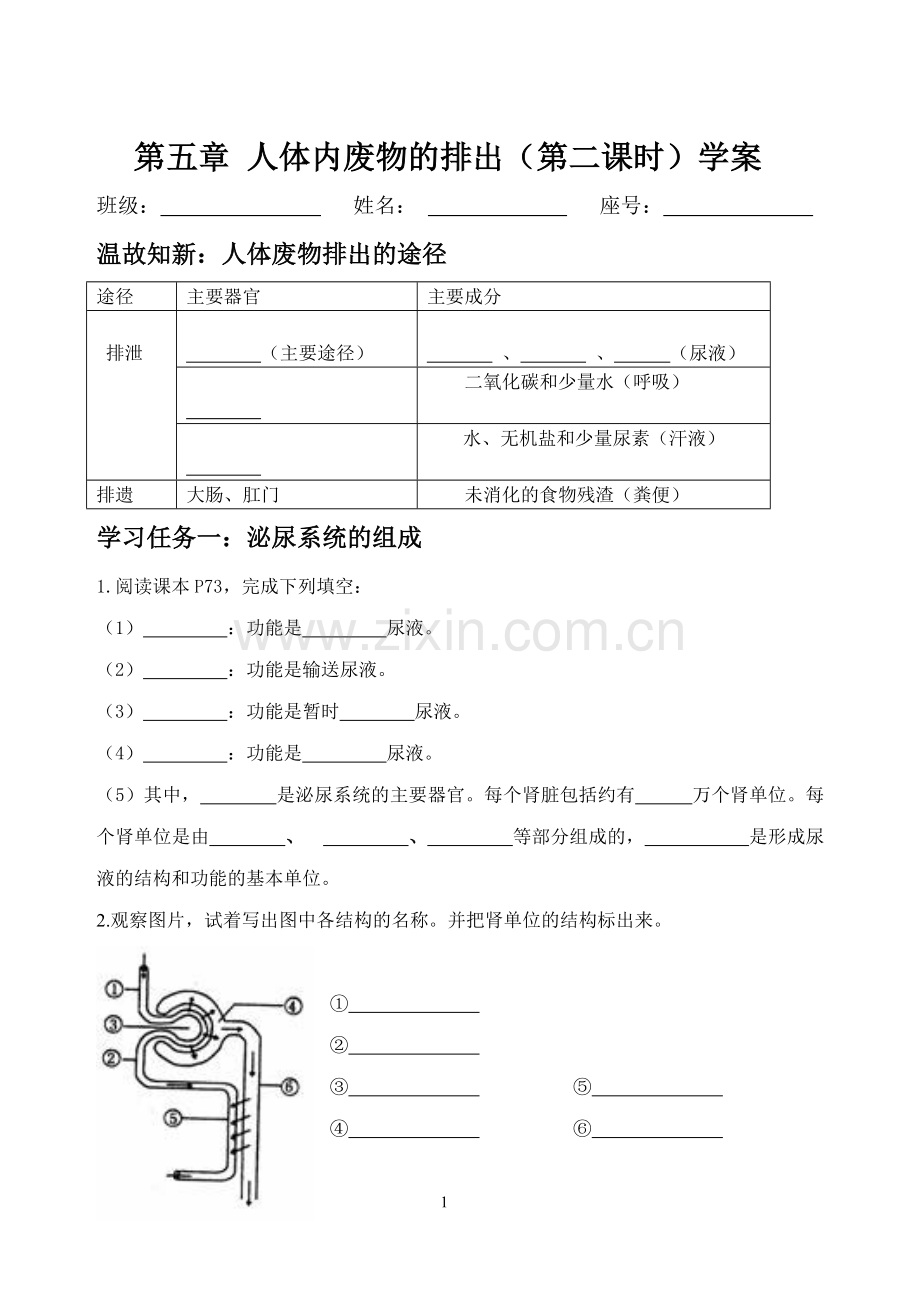 第一节尿的形成和排出.doc_第1页