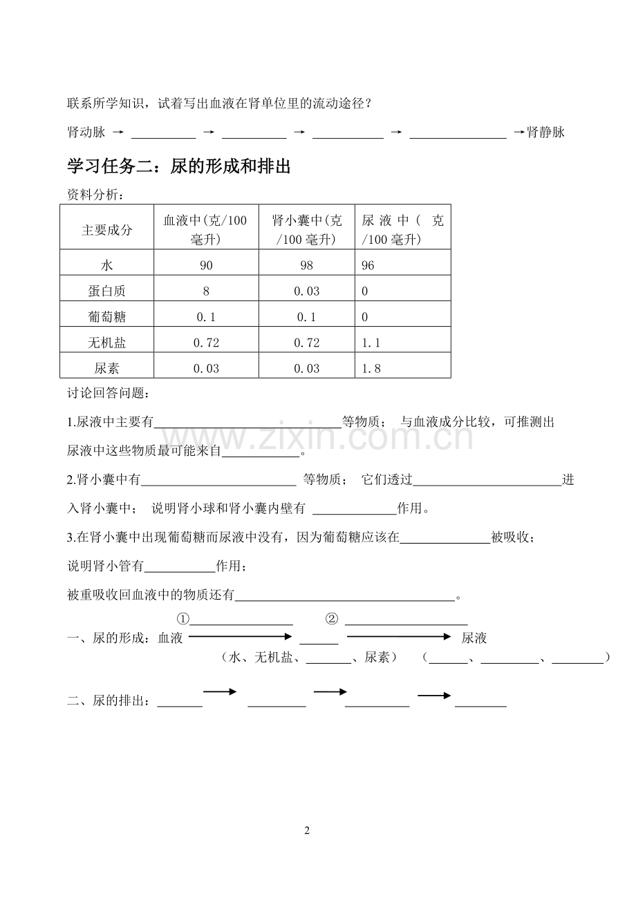 第一节尿的形成和排出.doc_第2页