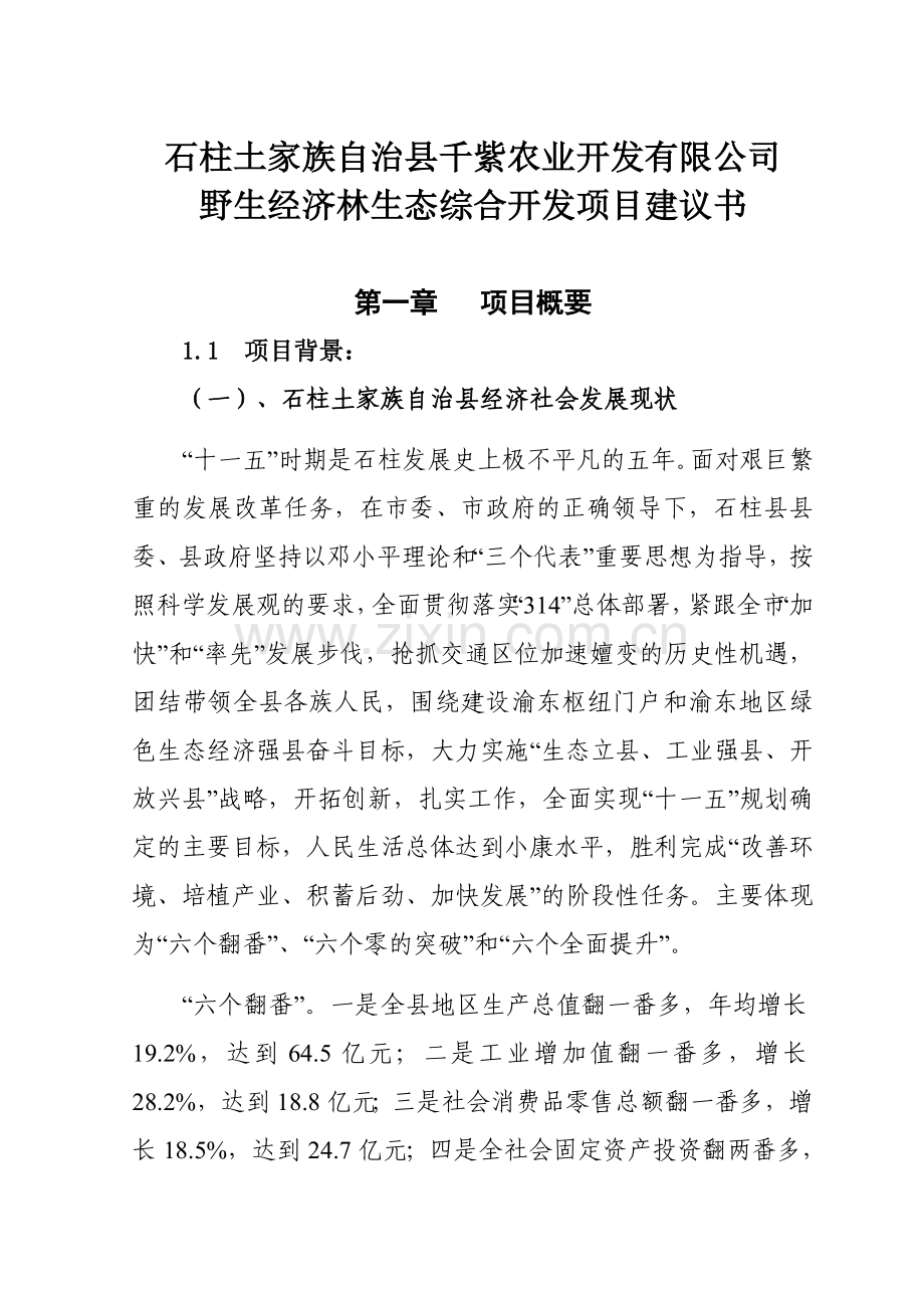 千紫农业综合开发项目建议书(修改版).doc_第1页