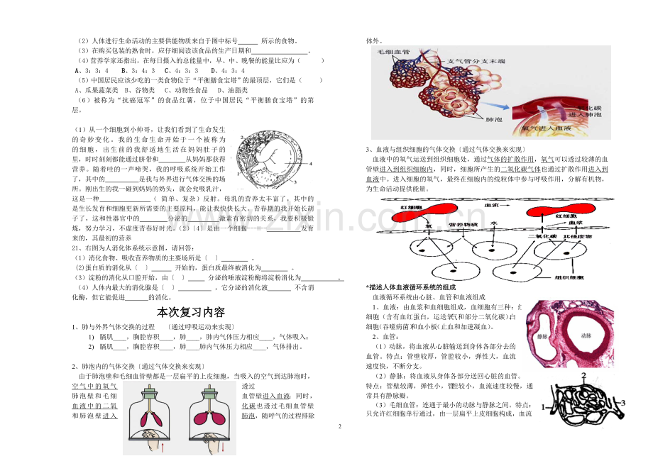 七年级生物下册复习待打印.doc_第2页