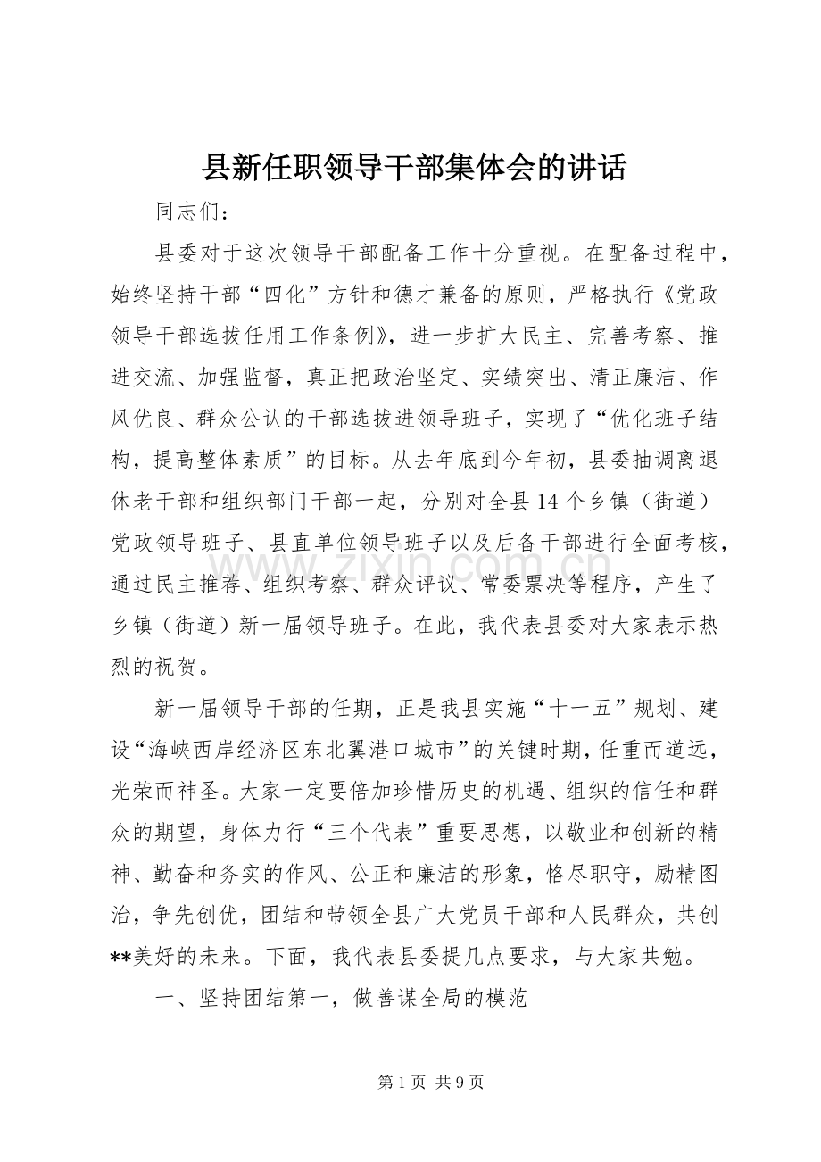 县新任职领导干部集体会的讲话发言.docx_第1页