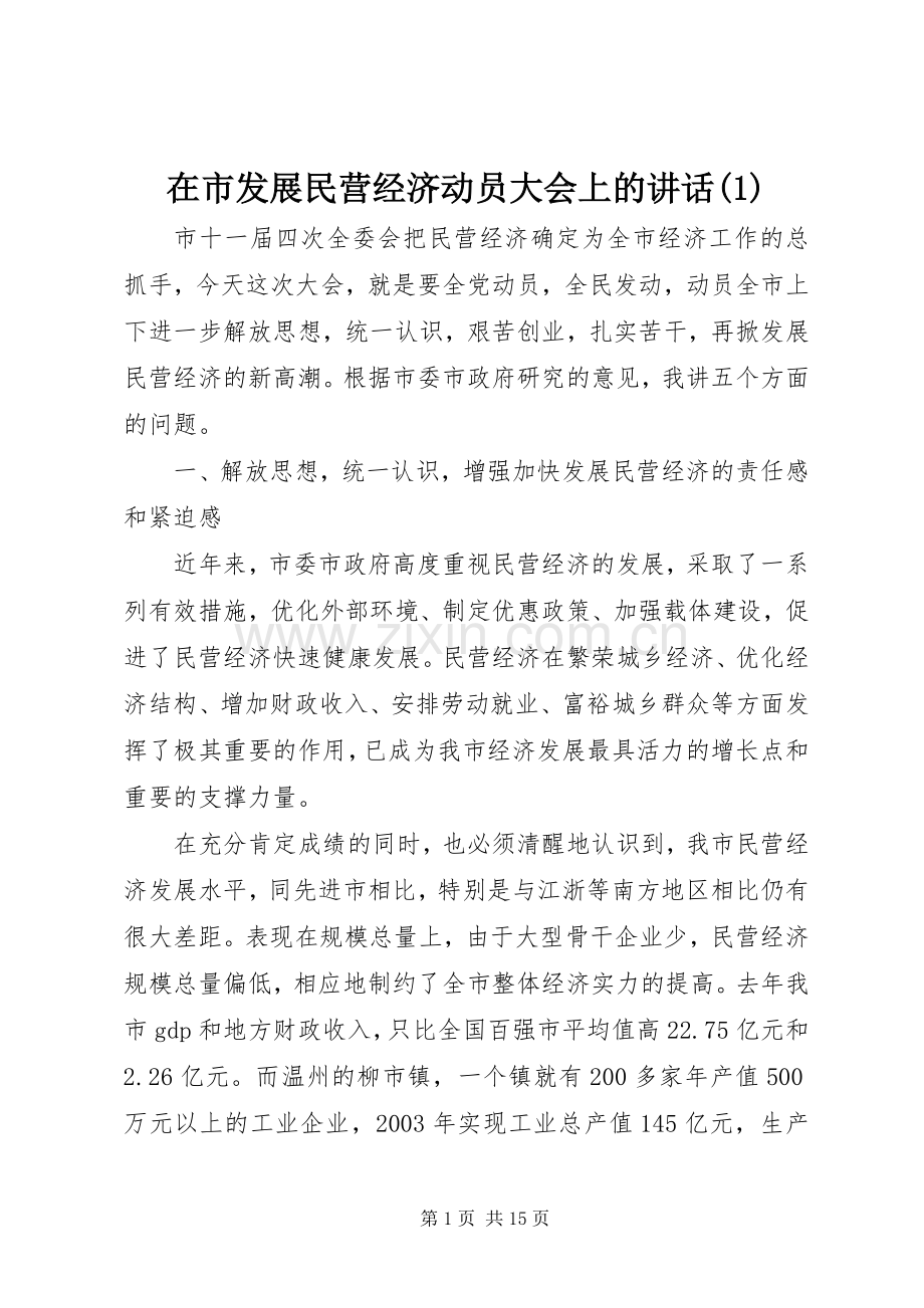 在市发展民营经济动员大会上的讲话发言(1).docx_第1页