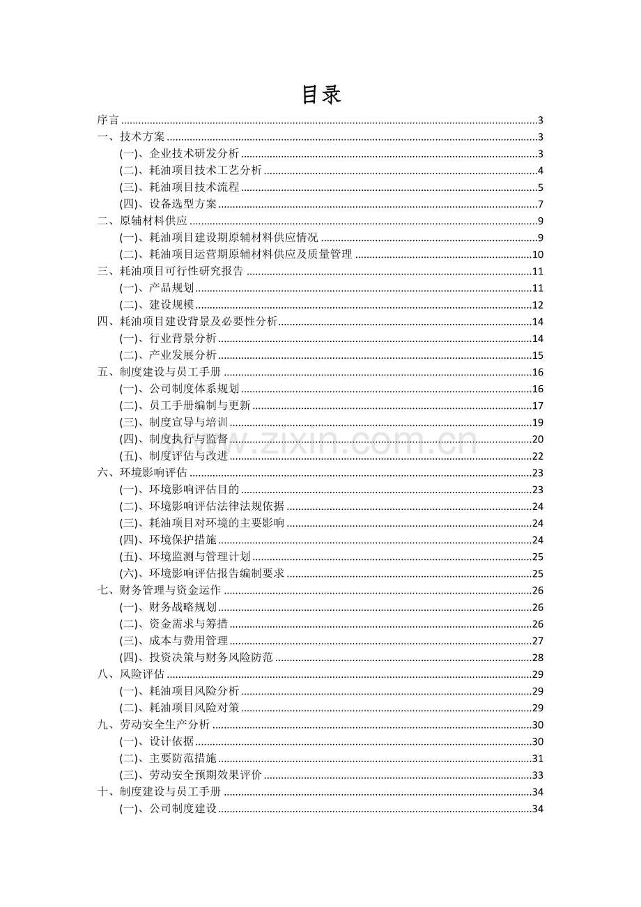 耗油项目深度研究分析报告.docx_第2页