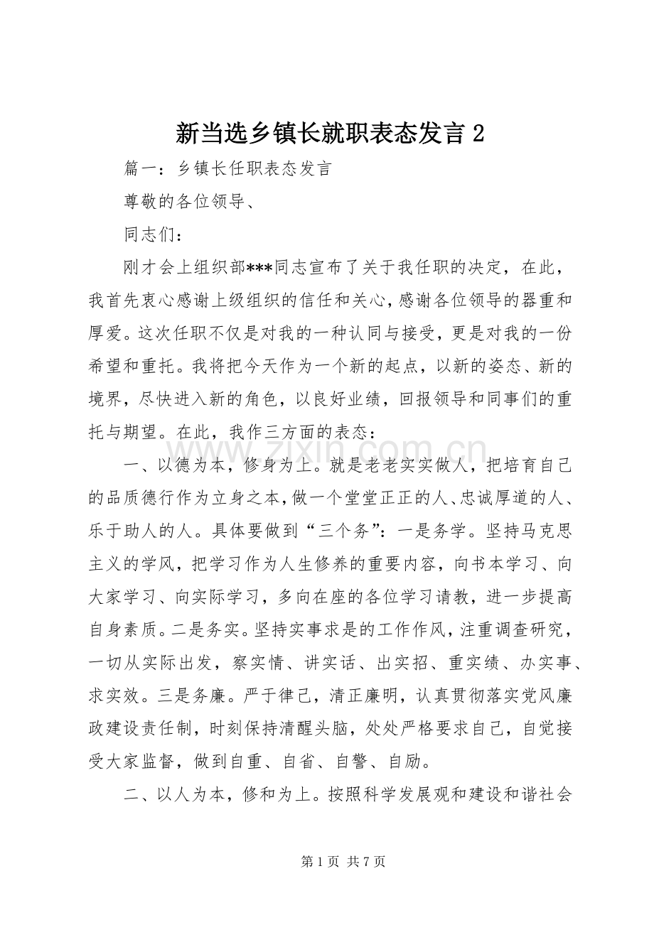 新当选乡镇长就职表态发言稿2.docx_第1页