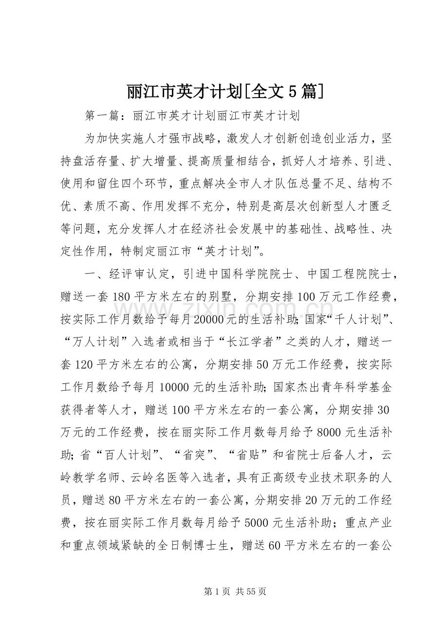 丽江市英才计划[全文5篇].docx_第1页