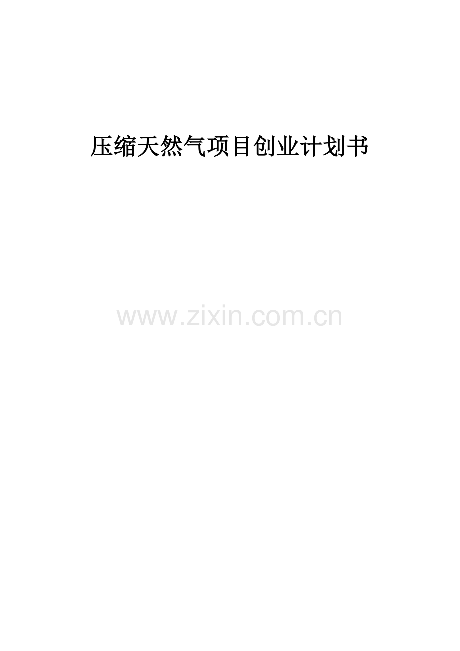 压缩天然气项目创业计划书.docx_第1页