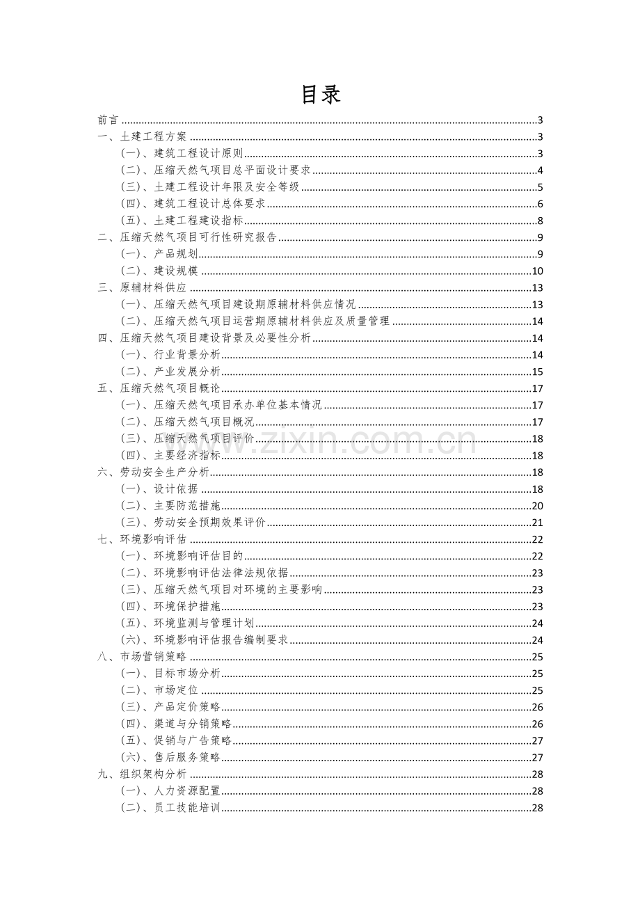 压缩天然气项目创业计划书.docx_第2页