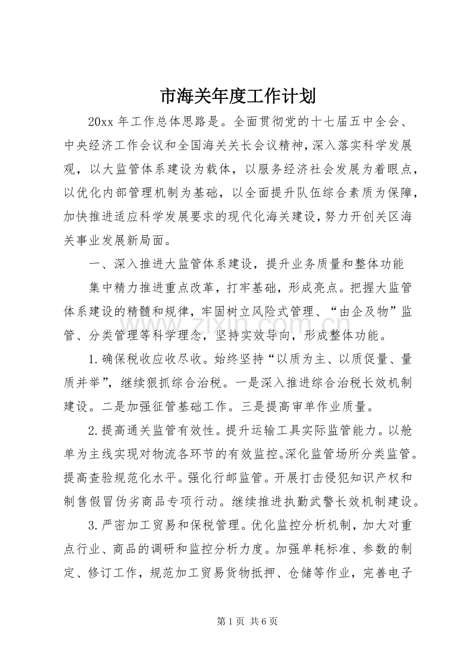 市海关年度工作计划.docx_第1页