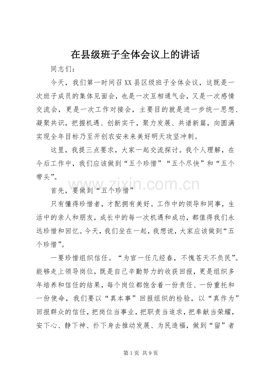 在县级班子全体会议上的讲话发言.docx_第1页